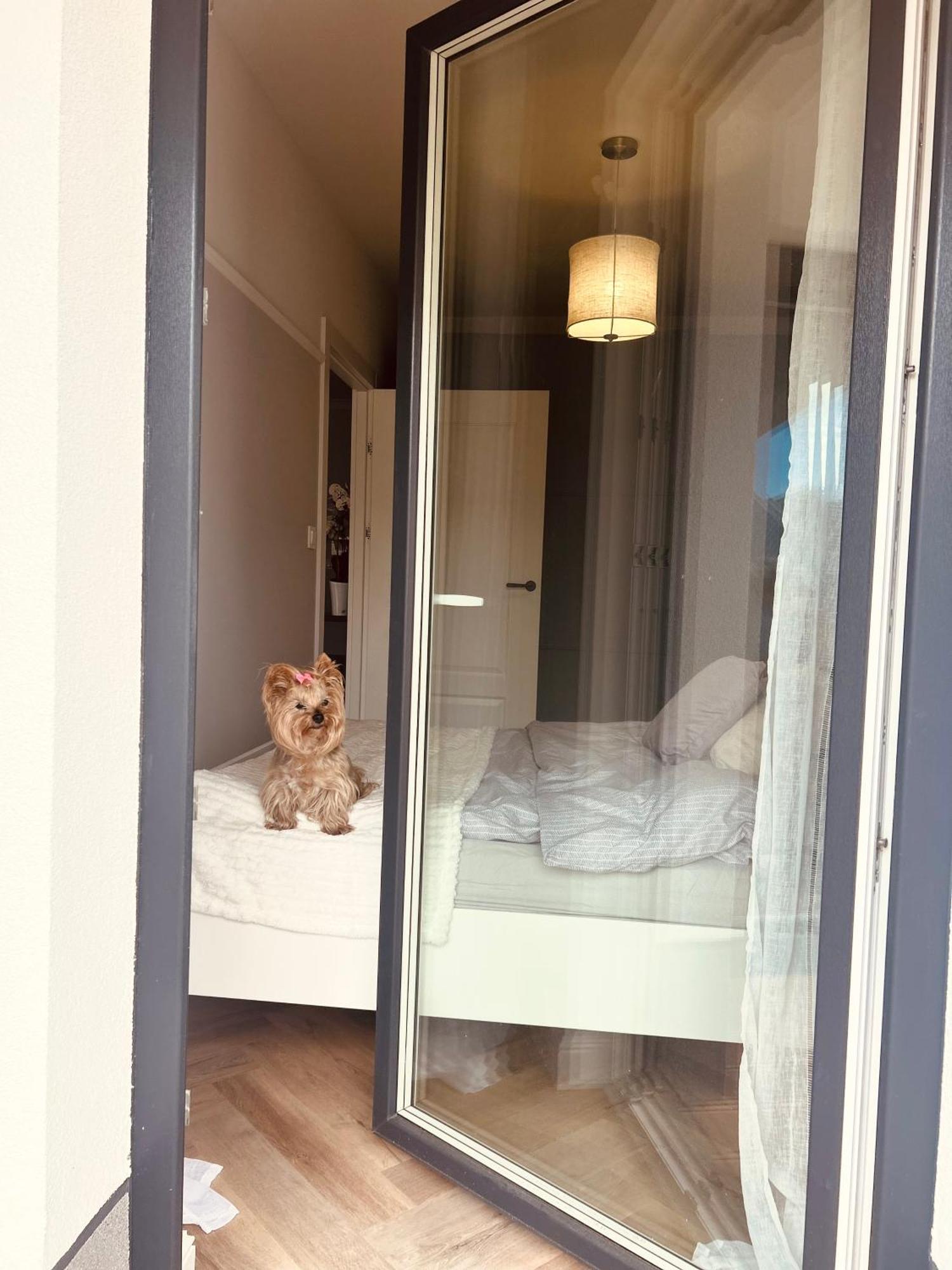 Downtown Podpromie Monica Апартаменти